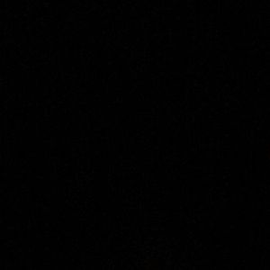 Meet your Posher, Zack